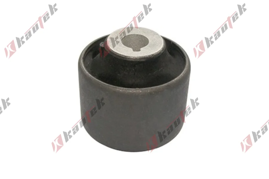 SALINCAK BURCU, ARKA